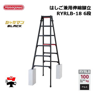 �͂������p�L�k�r�� RYRLB�V���[�Y �� 1�� ���J��H�� �V���K�}���u���b�N �l���z���s��