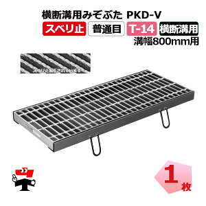 yꕔ󒍐Yizfap݂Ԃ PKD-V T-14 1 j |O[`O Xx~ ʖ fap