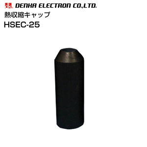�M���k�L���b�v HSEC-25 10�� �f���J�G���N�g�����ʐM�P�[�u���[���ی� �[������