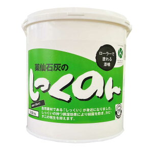 ̂ 3kg Rfނ݂̂łłhňS ΊD