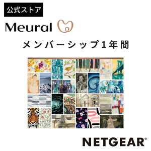 NETGEAR ( lbgMA ) Meural o[Vbv1N TuXNvV A[gRec CeA G CZX A[g ÓTi MCMYA-10000S