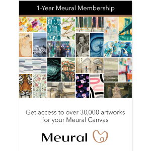 NETGEAR ( lbgMA ) Meural o[Vbv1N TuXNvV A[gRec CeA G CZX A[g ÓTi MCMYA-10000S