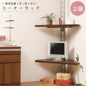 楽天市場 ウォールシェルフ テレビの通販