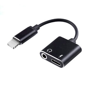 lightning- 3.5mmCtHϊA_v^[ ϊP[u iPhoneϊA_v^[ Abv[dP[u lightningA_v^[ 1{2 [dȂ特y𒮂