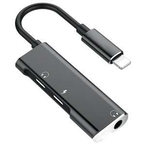 iPhone CtHϊP[u ϊA_v^[ fALightning|[g [d/ʘb/y⓮Đ [dP[u lightningA_v^[ 1{3 [dȂ特yy߂