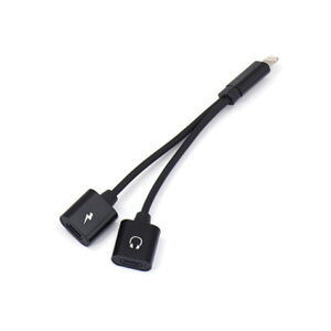 iphone[dP[u [dA_v^[ 2wbh^Cv CtHϊA_v^[ fA LightningA_v^ ɏ[d ʘb≹yĐ LightningϊA_v^[ ̂܂܂ŉo vOA