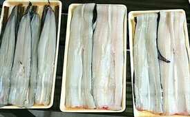 楽天市場 江戸前 あなごの通販