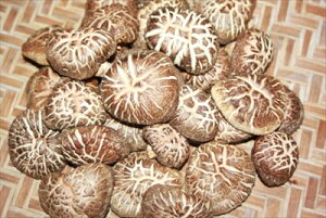 啪Y őiǂ񂱁j200gi100g×2܁jY  V VC^P GAu[ ikCEE͔zsj