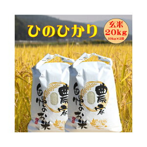 ߘa7Nx 啪Y V \ Ђ̂Ђ  20kg(10kg×2) ikCEE͔zsj qmqJ R