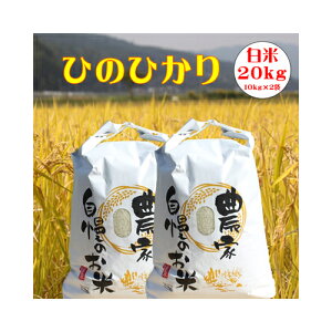 ߘa7Nx 啪Y V \ Ђ̂Ђ  20kg(10kg×2) ikCEE͔zsj qmqJ R