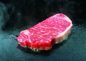 I[W[r[tXe[Lie_[CET[Cj10Zbg Ⓚ Mtg gift ̓ ̓ 䒆 Ε a v[g