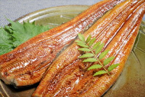 Y ÉY Ȃ   120g×3i^{Rtj Ⓚ V EiM ΏĂ Mtg gift ̓ ̓ 䒆 Ε a v[g