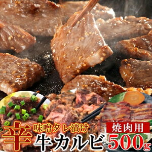 hX^ЂJriēpj500g Ⓚ