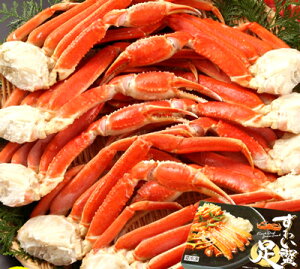  YC I 2kg Ⓚ 킢 Jj  GIFTΉi Mtg gift ̓ ̓ 䒆 Ε a v[g