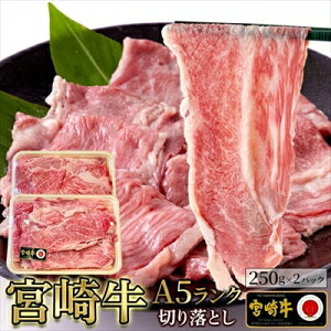 {苍 A5N ؂藎Ƃ 500gi250g×2Pj Ⓚ