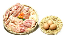 秋田 比内地鶏 1羽 ＋ 赤卵 3個付き 鍋に最適 特選 sp1