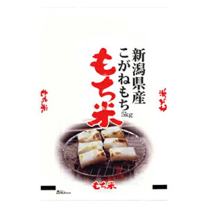 VY ˂  5kg Mtg gift ̓ ̓ 䒆 Ε a v[g