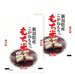 VY ˂  10kg(5kg×2) Mtg gift ̓ ̓ 䒆 Ε a v[g