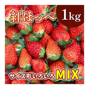 Ԍ  gق MIX (TCYA`낢j 1kg ① iEzsj C`S  ׂɂق xjzby Mtg gift ̓ ̓ 䒆 Ε a v[g o