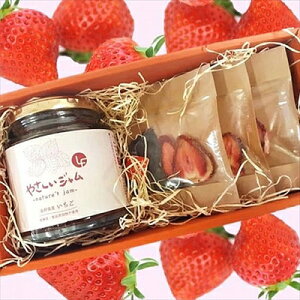 Â Mtg BOX W g Zbg 퉷 ikCEE͔zsj ݂₰ Mtg gift ̓ ̓ hV̓ 䒆 Ε a v[g o^C z