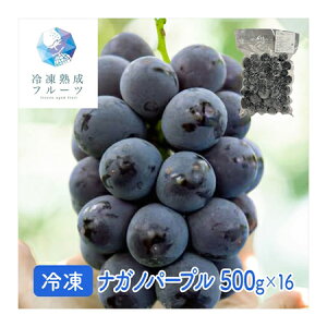 ナガノパープル 8kg (500g×16パック) <冷凍> 業務用 (北海道・沖縄・離島配送不可) 国産 葡萄 ぶどう ブドウ ながのぱーぷる 冷凍フルーツ デザート バレンタイン ホワイトデー 手作り