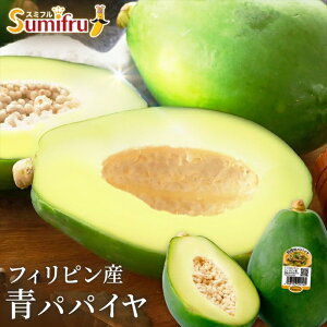 ppC 퉷 iEzsj Mtg gift ̓ ̓ 䒆 Ε a v[g