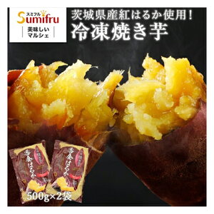 錧Y g͂邩 ⓀĂ 1kg(500g×2) Ⓚ iE͔zsj Mtg gift ̓ ̓ 䒆 Ε a v[g
