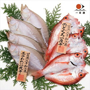  xX uv̂ǂEꂢ銱 Ⓚ izsj Mtg gift ̓ ̓ hV̓ 䒆 Ε a v[g