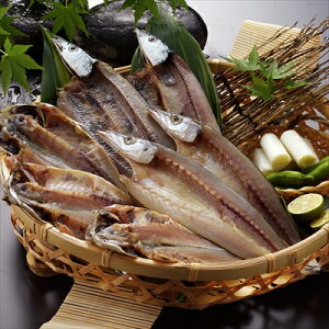 É ÁuavY B i^JA܂JA ܊JjⓀ i͔zsj  ٓ Mtg gift ̓ ̓ hV̓ 䒆 Ε a v[g