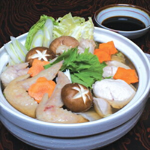 F{ 刢hǂ R[QX[v B Ⓚi͔zsj Mtg gift ̓ ̓ 䒆 Ε a v[g