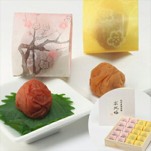 IB_ yI~ 20 ~퉷ikCEE͔zsj Mtg gift ̓ ̓ hV̓ 䒆 Ε a v[g