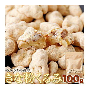 ȕ 100g |Xgi䂤pPbgoׁj