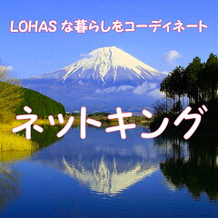 ネットキング