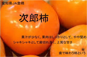 mYJAL@Y`@Gi@2LTCY@16ʁ@p10{`11{twsyni{[EȈՔŔz