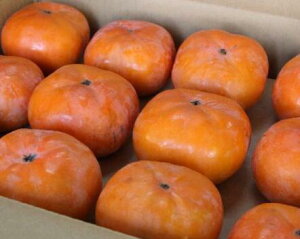 mYJAL@Y`@yGizMTCY@48ʁ@p10{`11{twskCEnʓr1000~