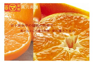 愛媛西宇和 真穴みかん 約3キロ Sサイズ お歳暮贈答用【12月上旬〜中旬頃発送日付指定不可】【北海道・九州・離島地区は別途500円】