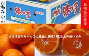 Y݂@C@q݂@3kg @ZG@MTCY@@Ε鑡pyqzy݂ 3kg zy ݂zy11{`12{twszykCEn