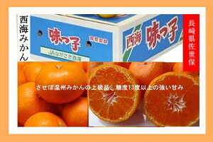 Y݂@C@q݂@5kg @STCY@Ε鑡pyqzy݂ 5kg zy ݂zyC݂zy11{`12{twszykCE