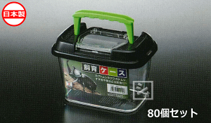 iJwY V224 P[X i80Zbgj { ~R~