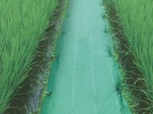 CmxbNX _CIlNX 2m×100m ~R~