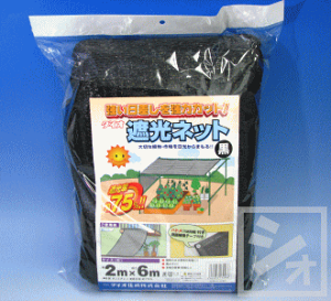 CmxbNX bZՌlbg 75%  i2m×6mj e[vngt ~R~