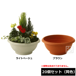 y@lzz ACJ Aؔ [{[ 430^ 20Zbg F a43×18.5cm ~R~