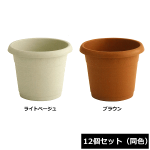 y@lzz ACJ Aؔ [|bg 380^ 12Zbg F a38×31cm ~R~