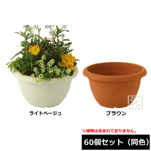 y@lzz ACJ Aؔ uV{[ 300^ 60Zbg F a30×16.5cm ~R~