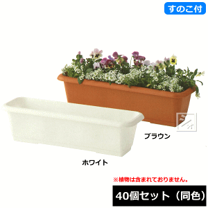 y@lzz ACJ v^[650S XmRt 40Zbg F 64.5×s22×18cm ~R~