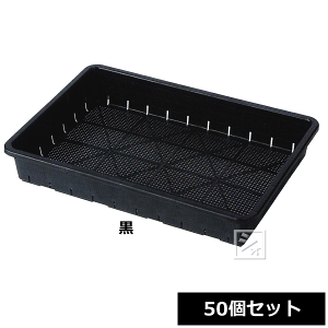 y@lzz ACJ ԕcpc 51^ 50Zbg  50×s35.7×8cm ~R~