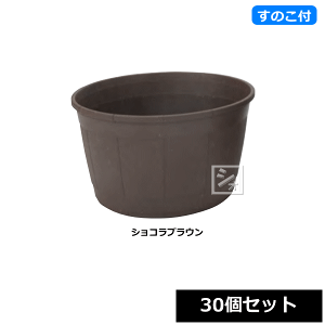 y@lzz ACJ Aؔ JXN|bg 310^ VRuE XmRt 30Zbg a31×18cm ~R~