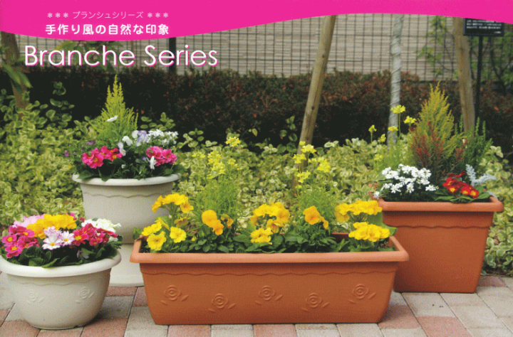 楽天市場】【法人配送限定】 アイカ 植木鉢 ブランシュボール 260号型