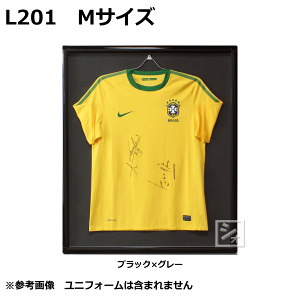 IW jtH[z L201 MTCY jtH[nK[t { ~R~