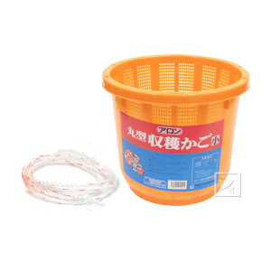 A ی^n ij 8L Ђt ~R~